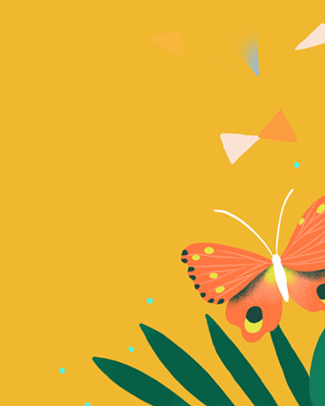 人生若只如初見(jiàn)